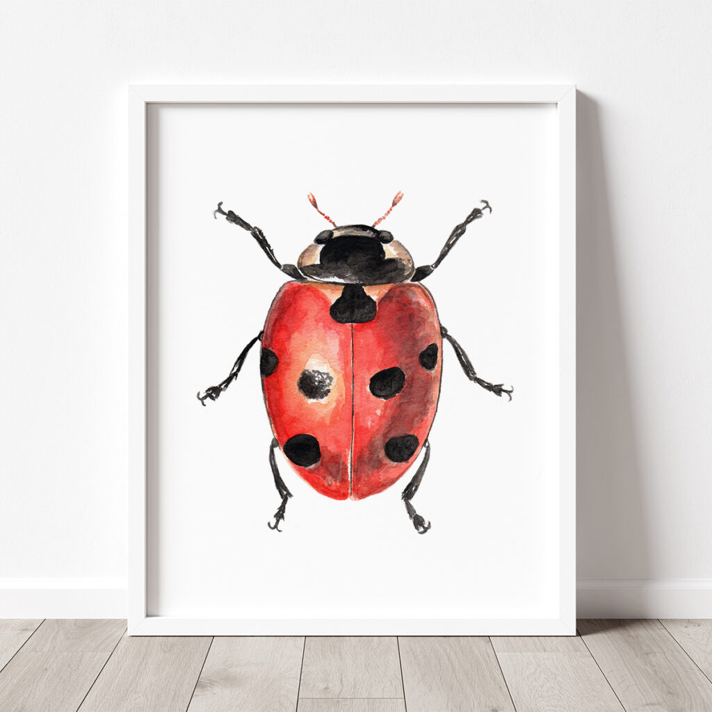 ladybird watercolour painting
