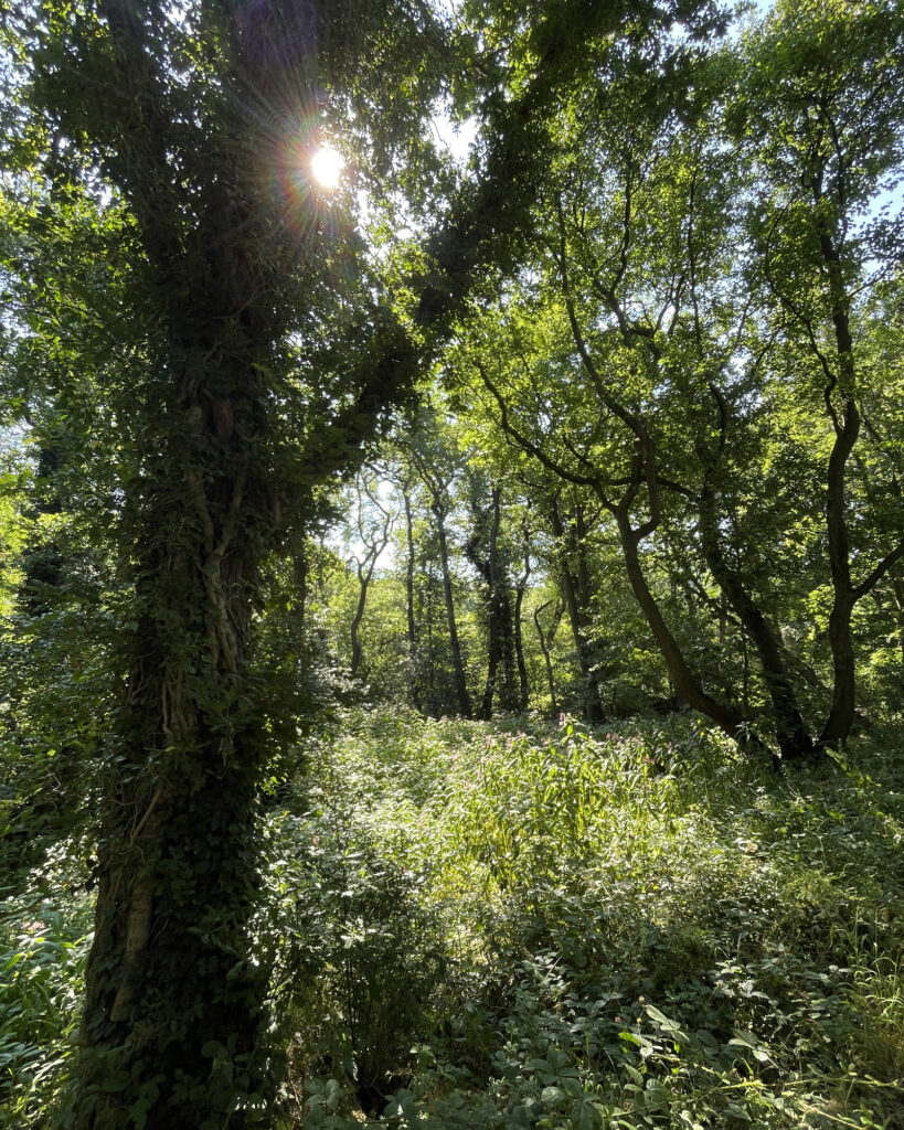 Worsbrough Country Park