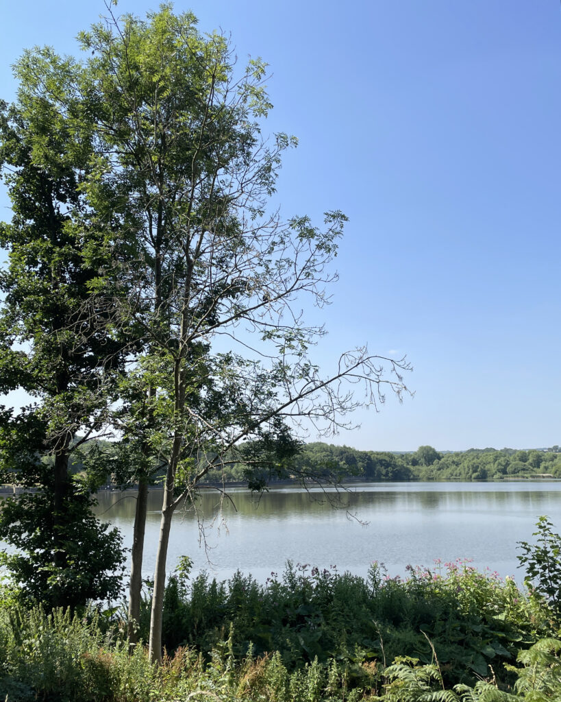 Worsbrough Country Park
