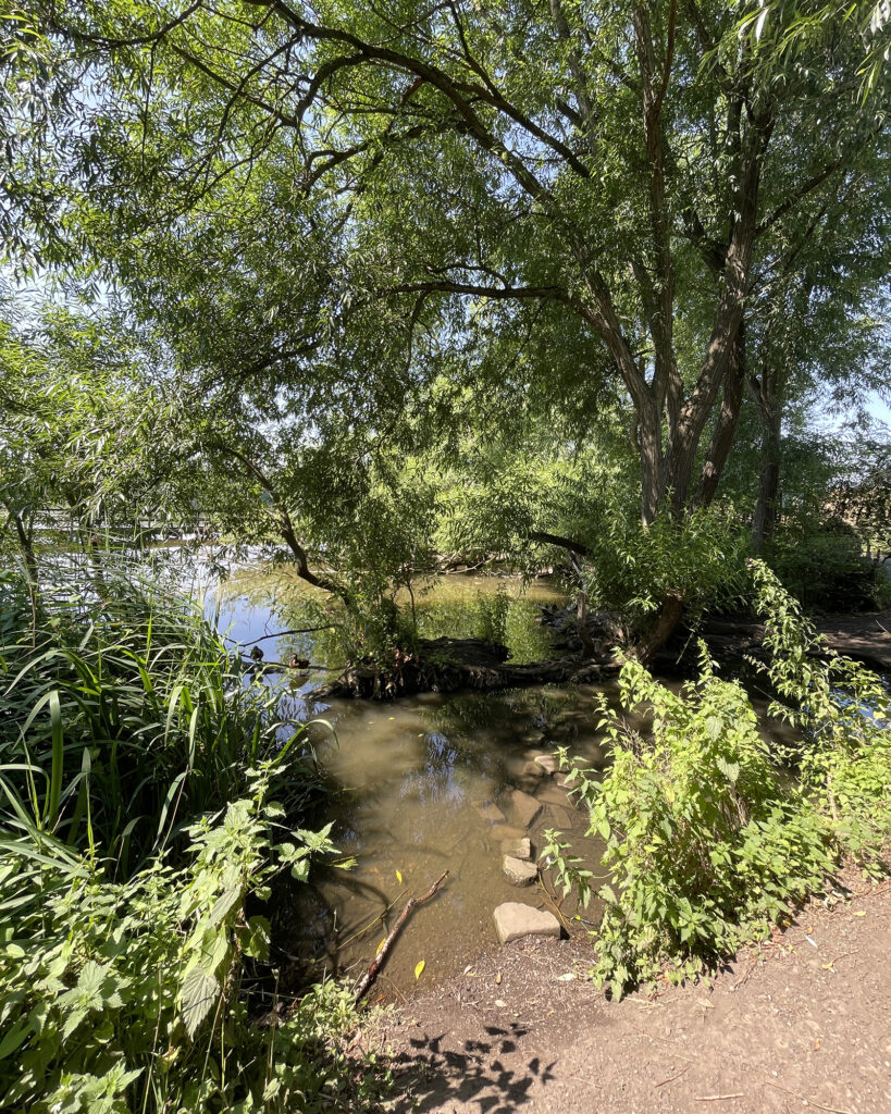 Worsbrough Country Park